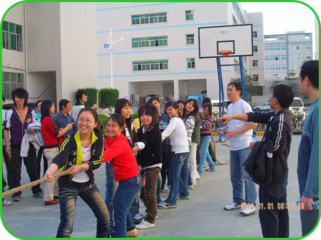 公司員工拔河比賽