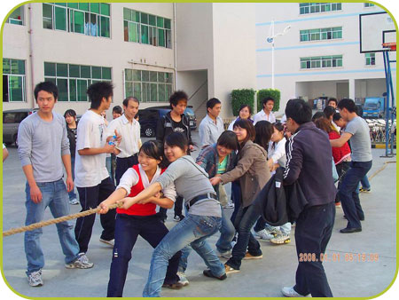 公司員工拔河比賽